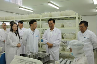 省领导关注民生推动产业升级 王辉忠副书记深入浙茶集团调研产业发展及服务效农实践