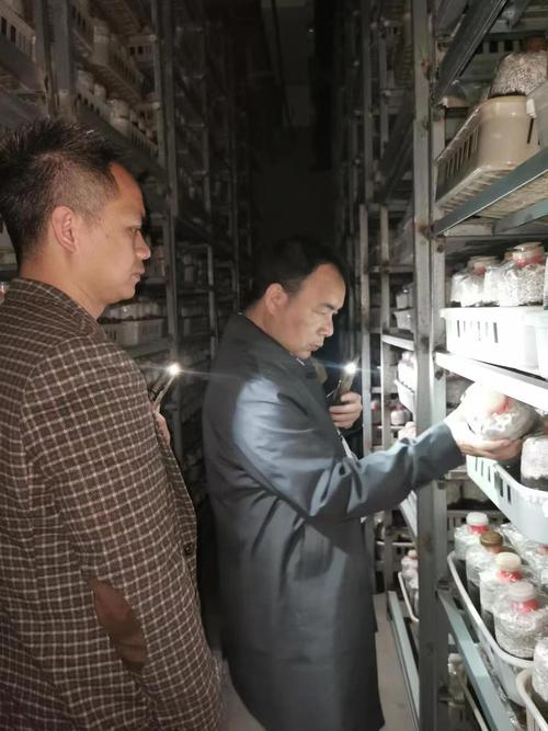 科技赋能产业，精准服务助振兴——食用菌所科技服务团队赴漳州开展秀珍菇工厂化栽培技术指导与开发